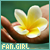 Fangirl 50x50c