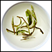 Whitetea